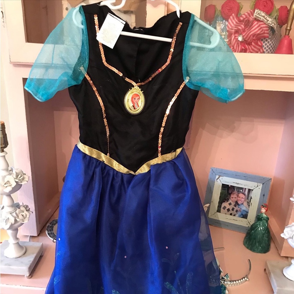 Anna Disney princess costume dress